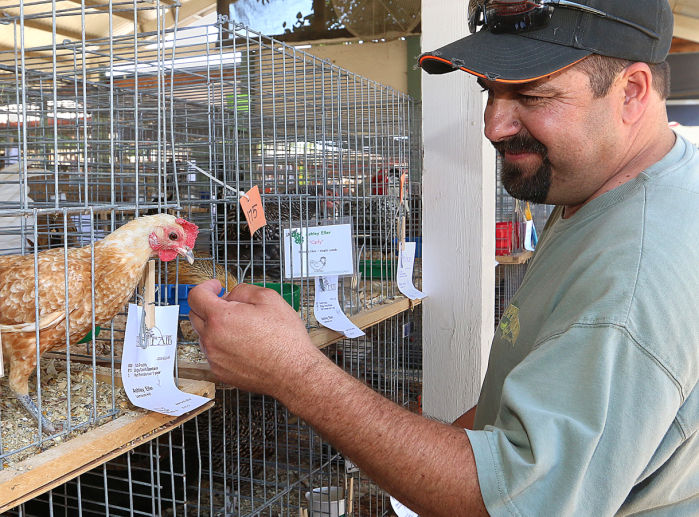 Kings Fair opens on Thursday